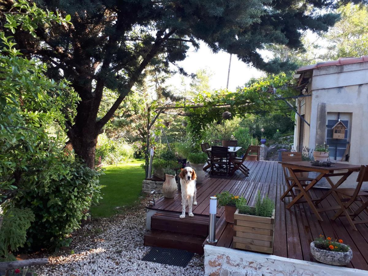 Chez Patricia & Denis Panzió Flassans-sur-Issole Kültér fotó